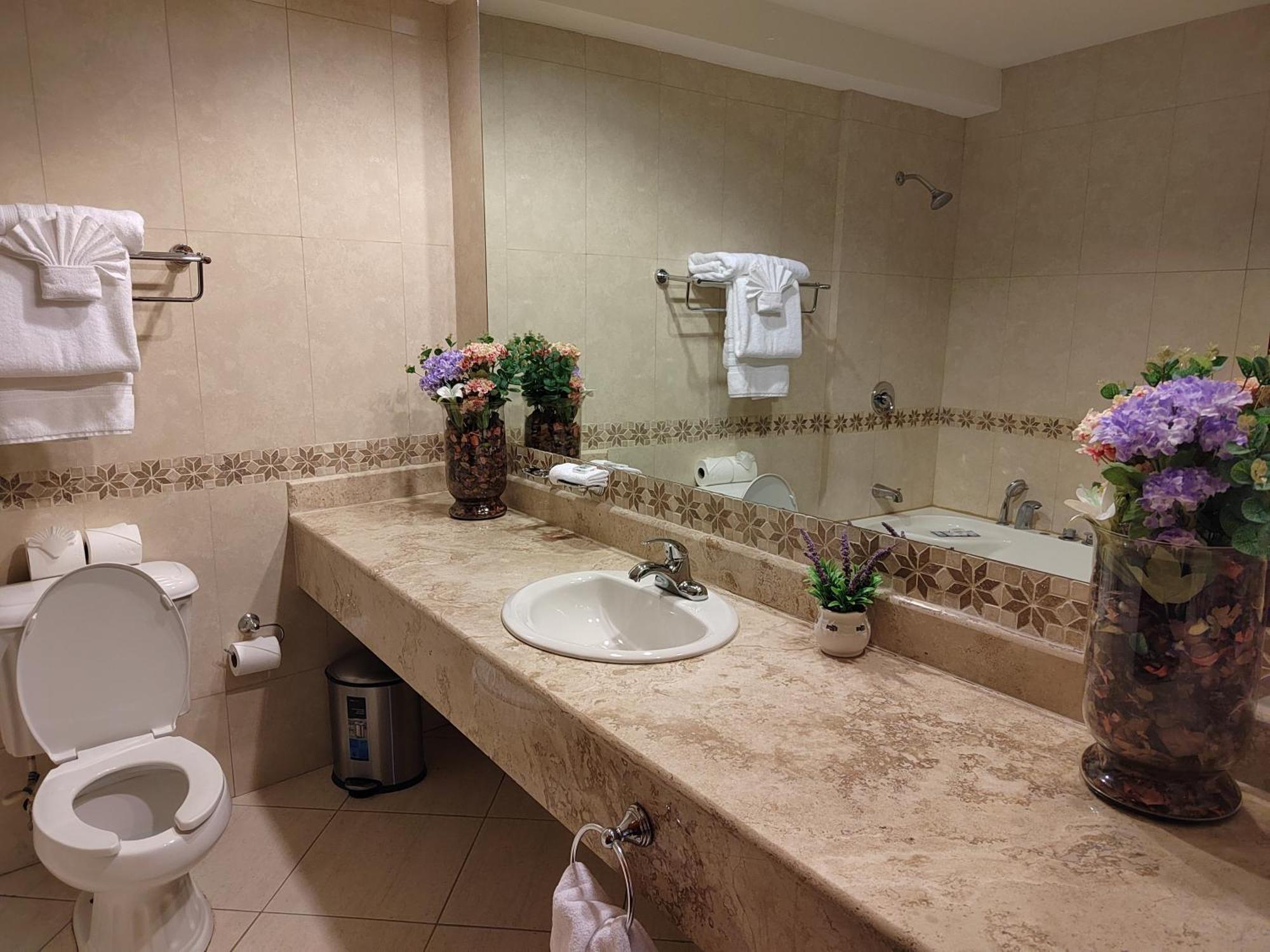 Princess Hotel And Casino Free Zone 코로잘 외부 사진